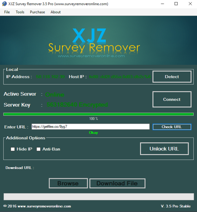 Xjz survey remover download full version